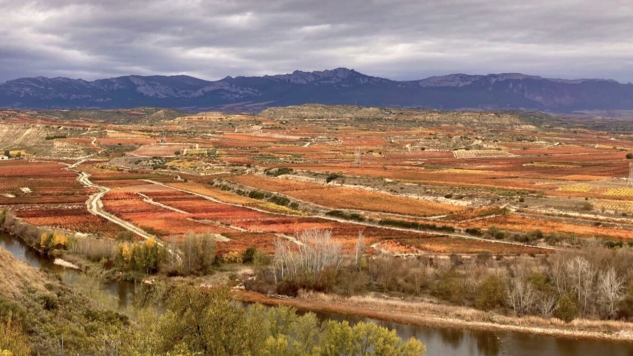 Photo of Outdoor in Fuenmayor
