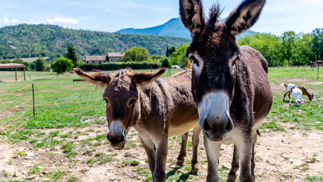 Photo of Others in Champtercier