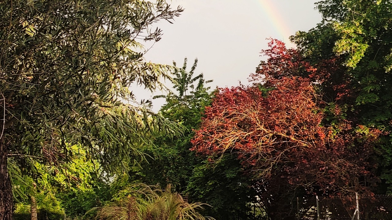 Photo of Outdoor in Herpy-l'Arlesienne