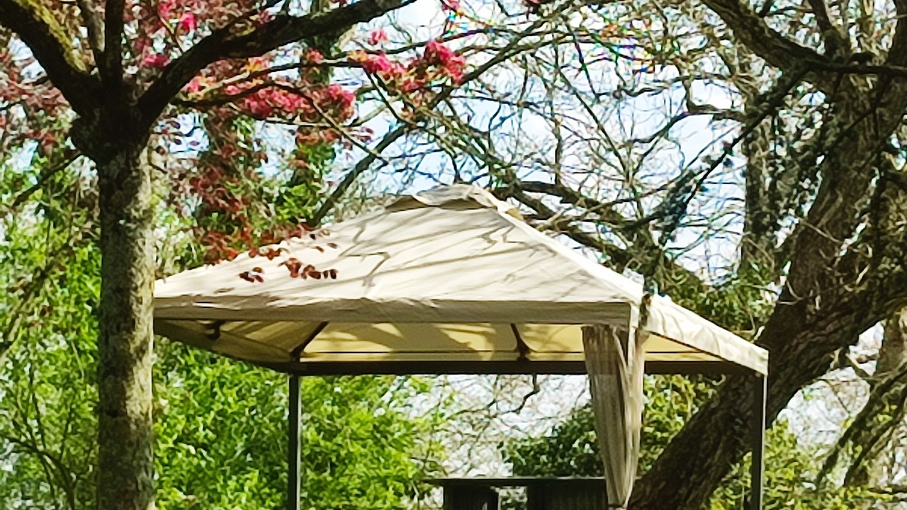 Photo of Outdoor in Herpy-l'Arlesienne