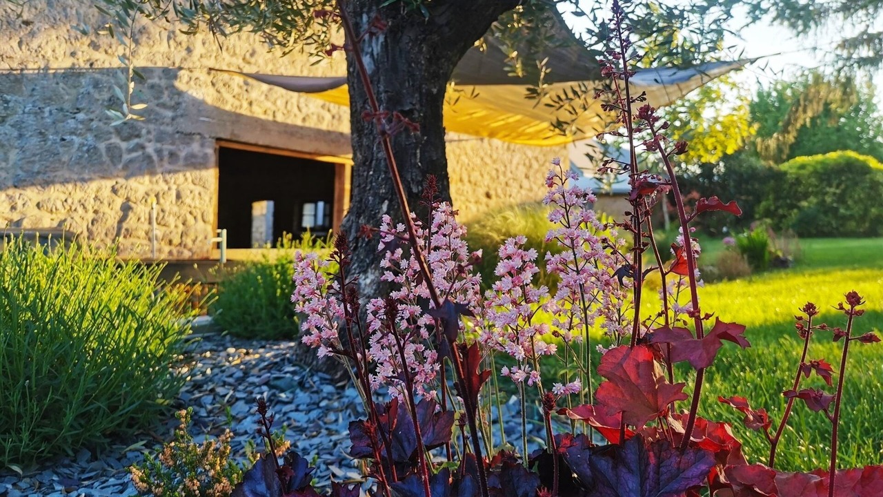 Photo of Outdoor in Herpy-l'Arlesienne