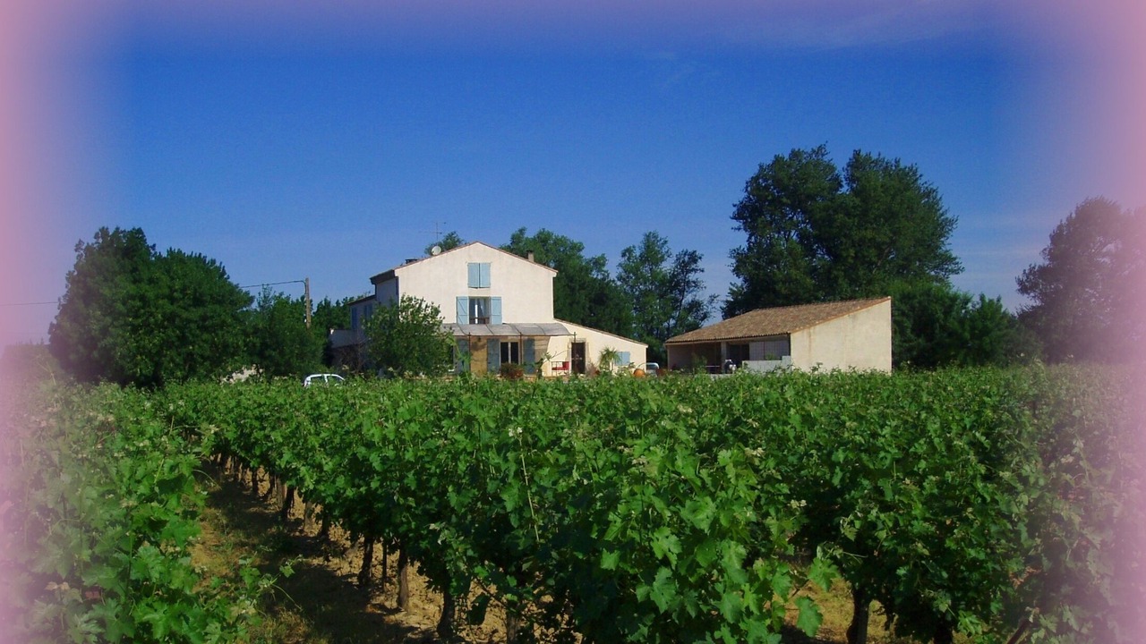 Photo of Outdoor in Narbonne