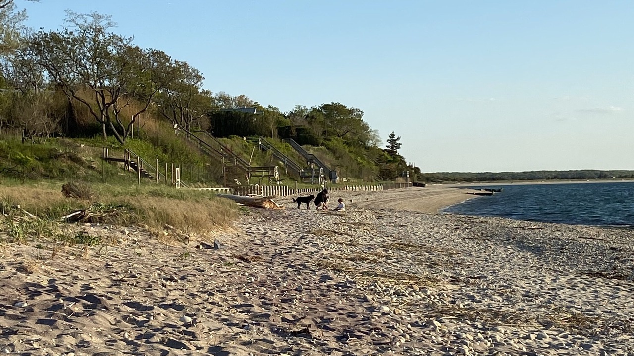 Photo of Others in Hamptons