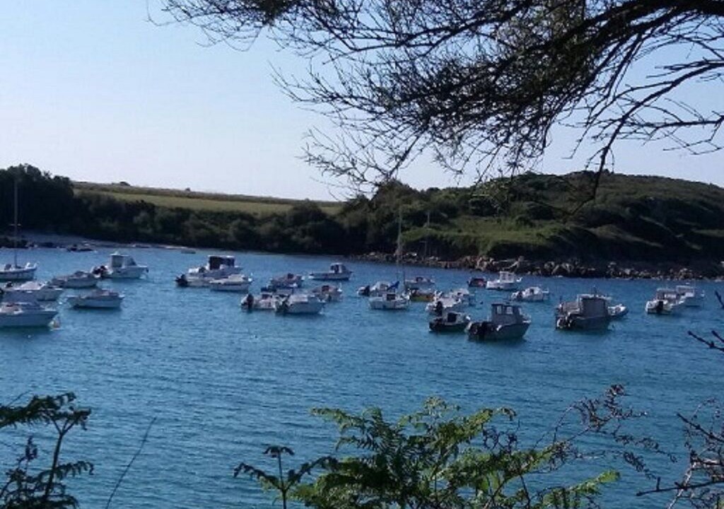 Photo of Others in Sibiril