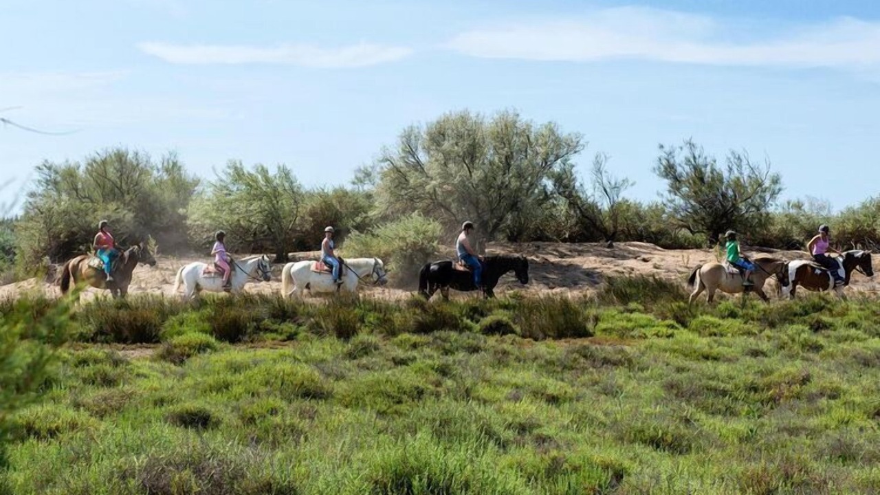 Photo of Outdoor in Les Cabanes de Fleury