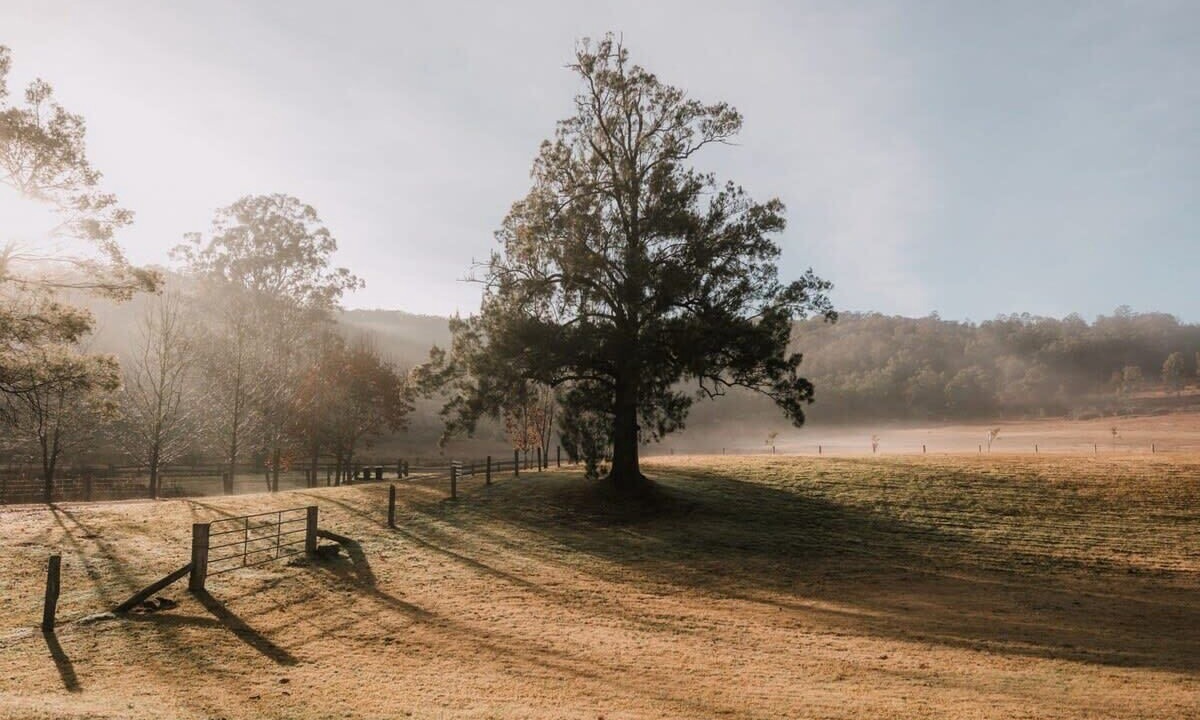 Photo of Outdoor in Wollombi