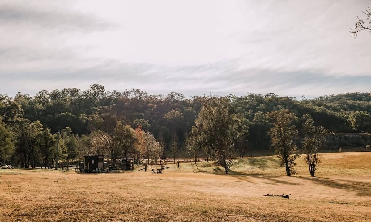 Photo of Others in Wollombi
