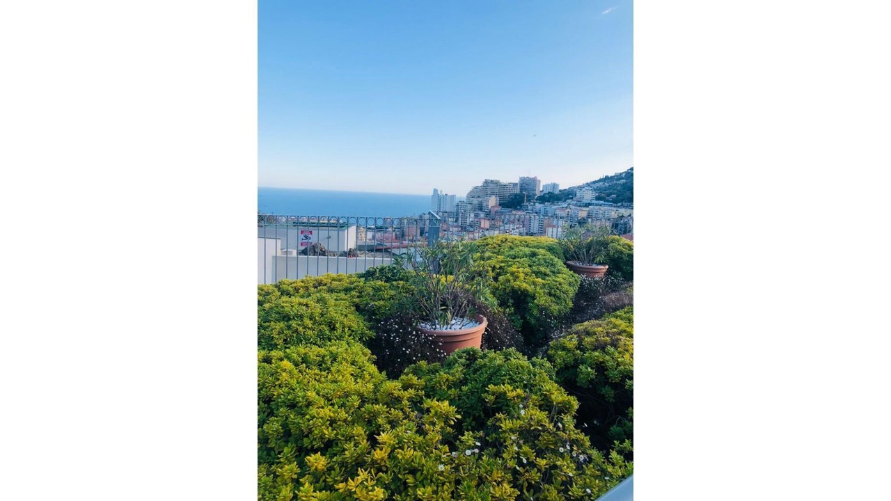 Photo of Others in Beausoleil