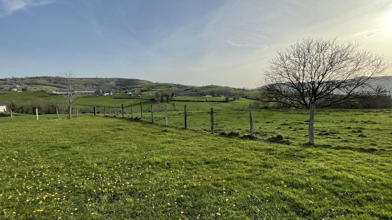 Photo of Others in Ordiarp