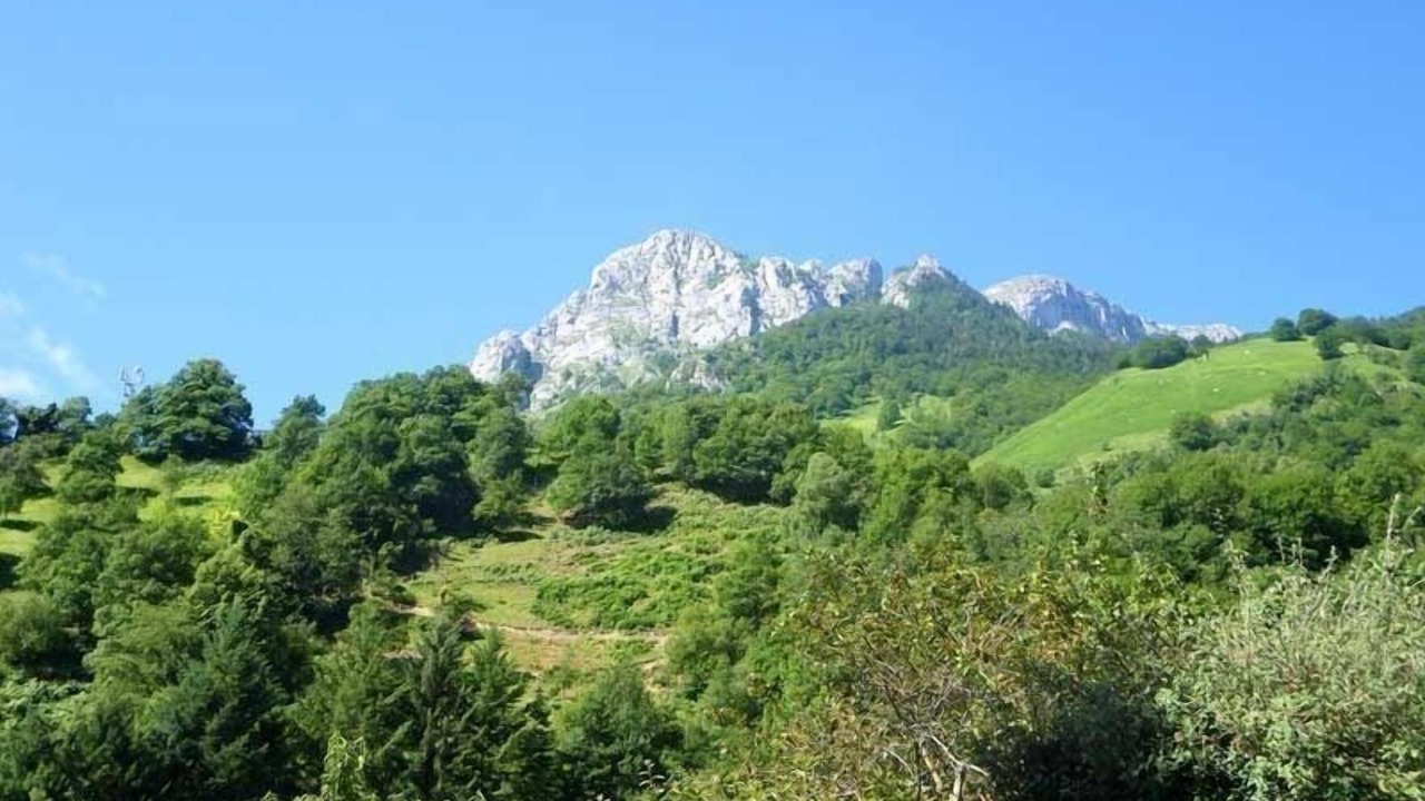 Photo of Others in Borce