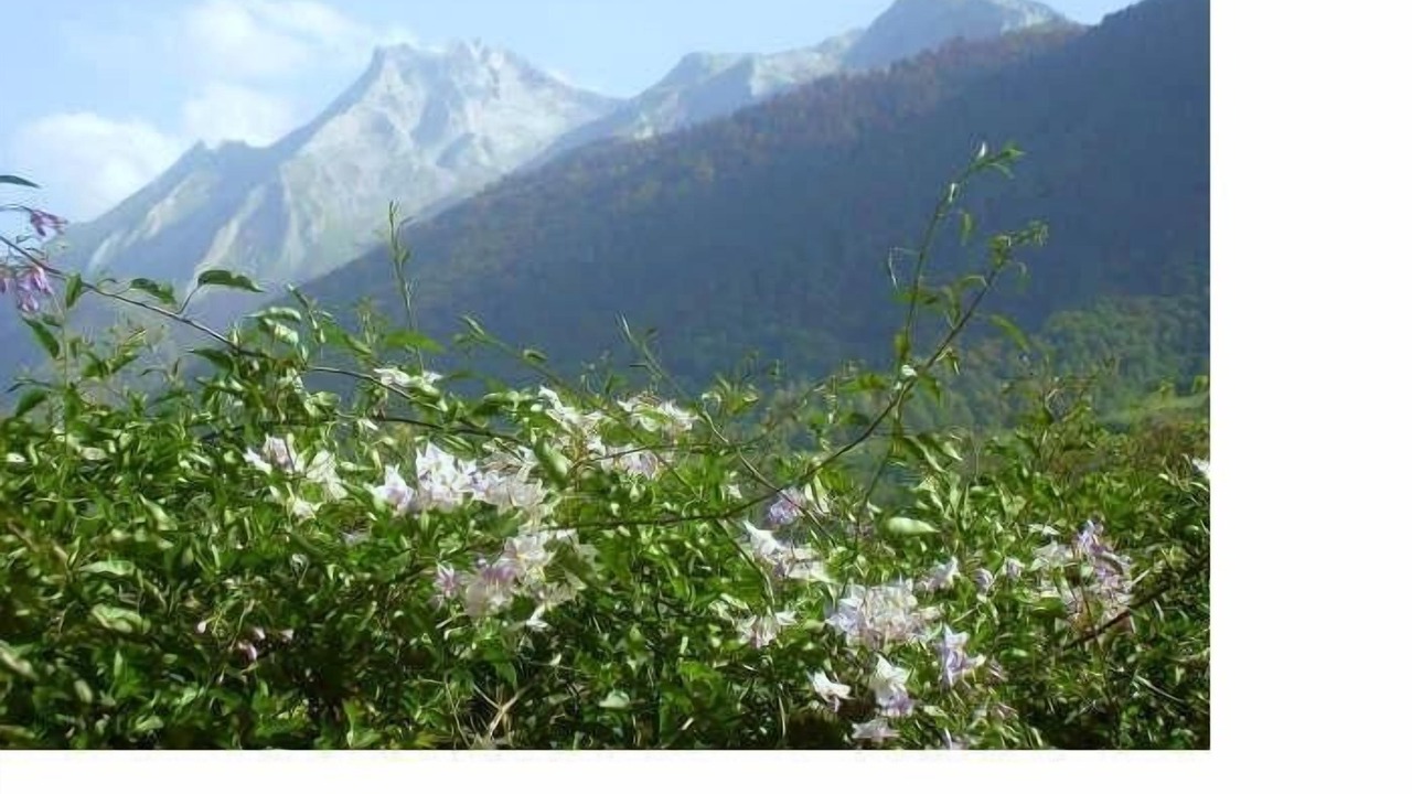 Photo of Outdoor in Laruns