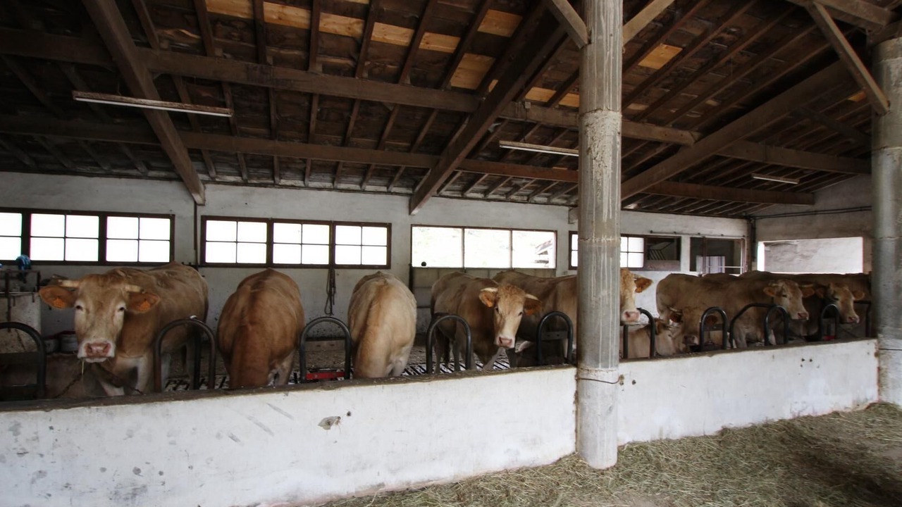 Photo of Others in Bustince-Iriberry