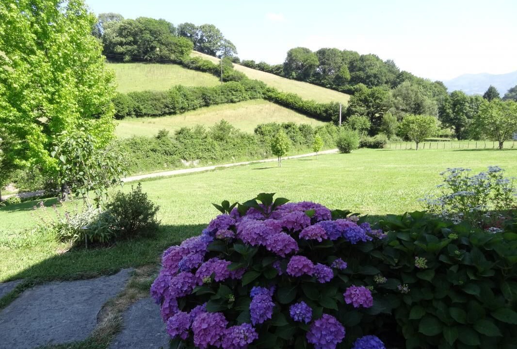 Photo of Outdoor in Sare