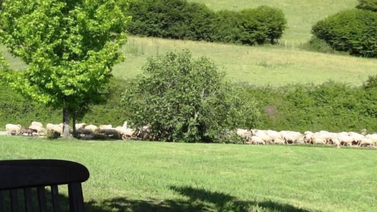 Photo of Outdoor in Sare
