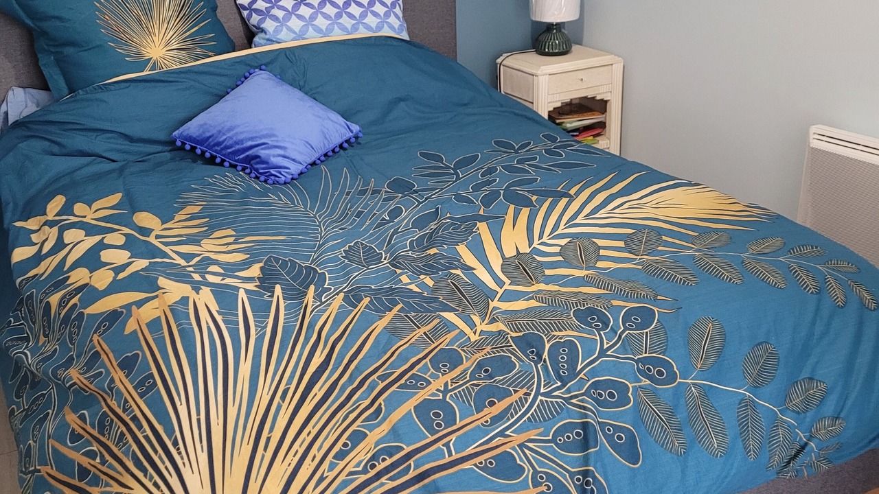 Photo of Bedroom in Perissac