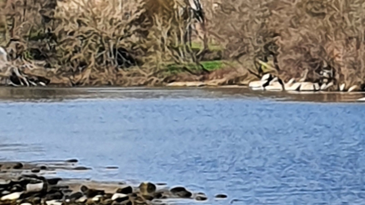 Photo of Others in Les Assions