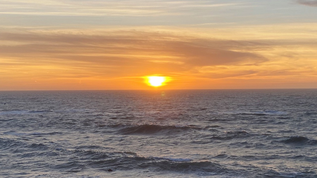 Photo of Others in Moss Beach