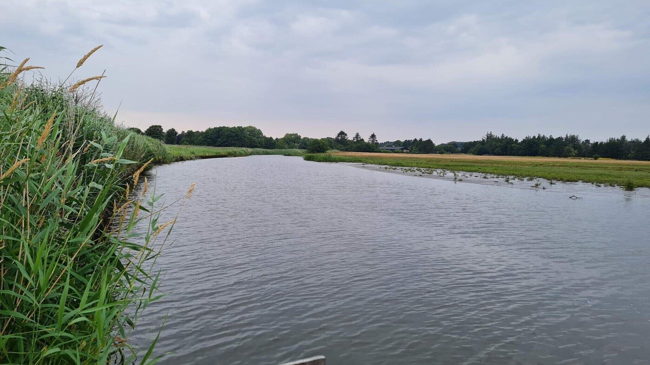 Photo of Others in Nordost