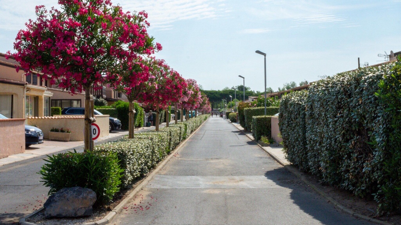 Photo of Others in Portiragnes-Plage