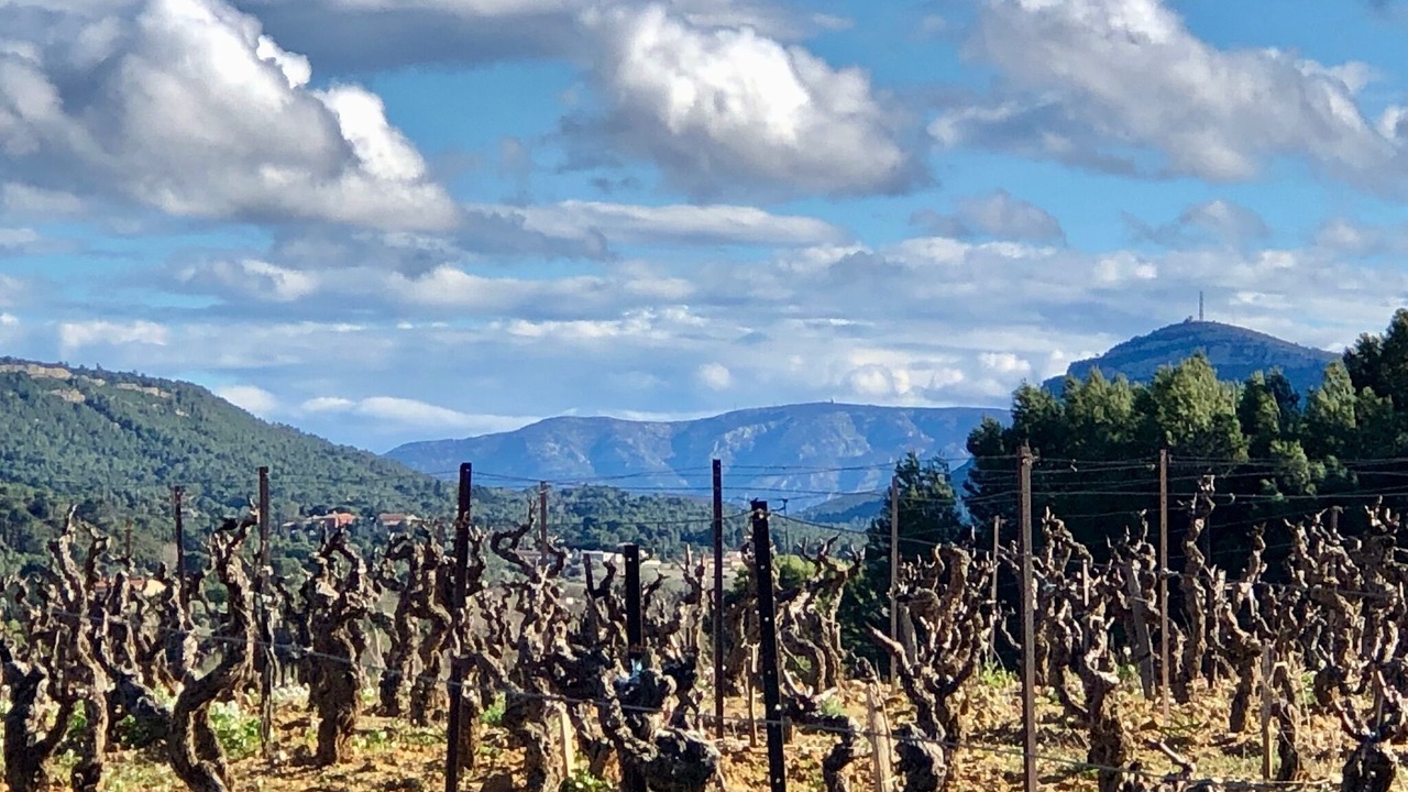 Photo of Outdoor in Montseret