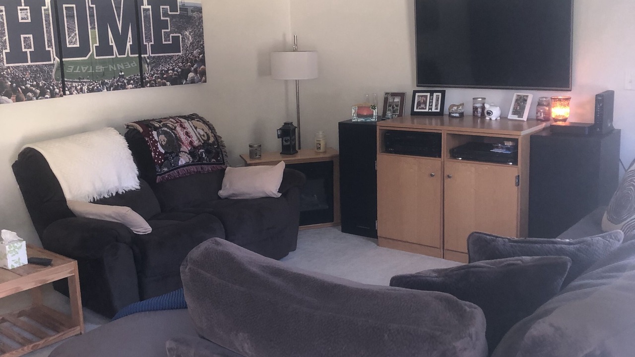 Photo of Livingroom in State College