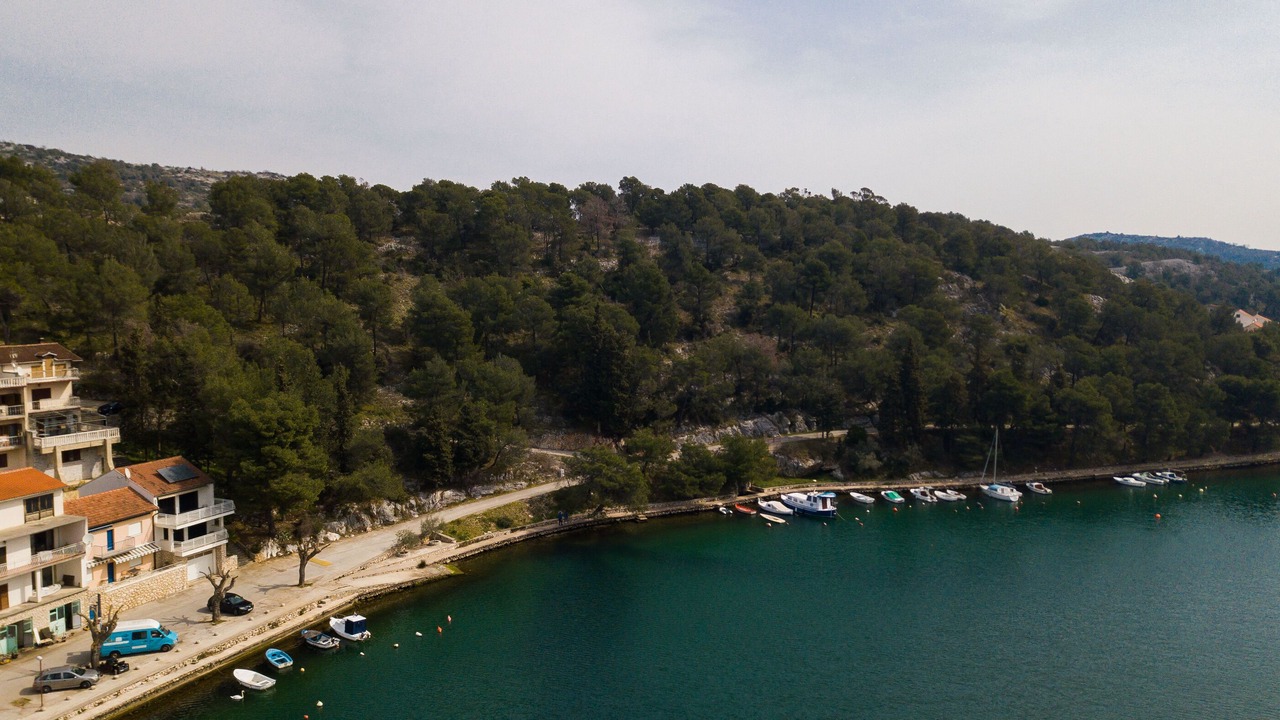 Photo of Others in Zaton