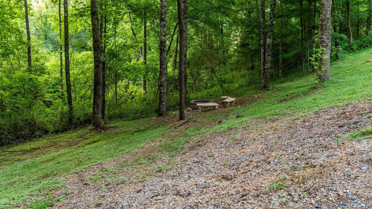 Photo of Others in Cherokee