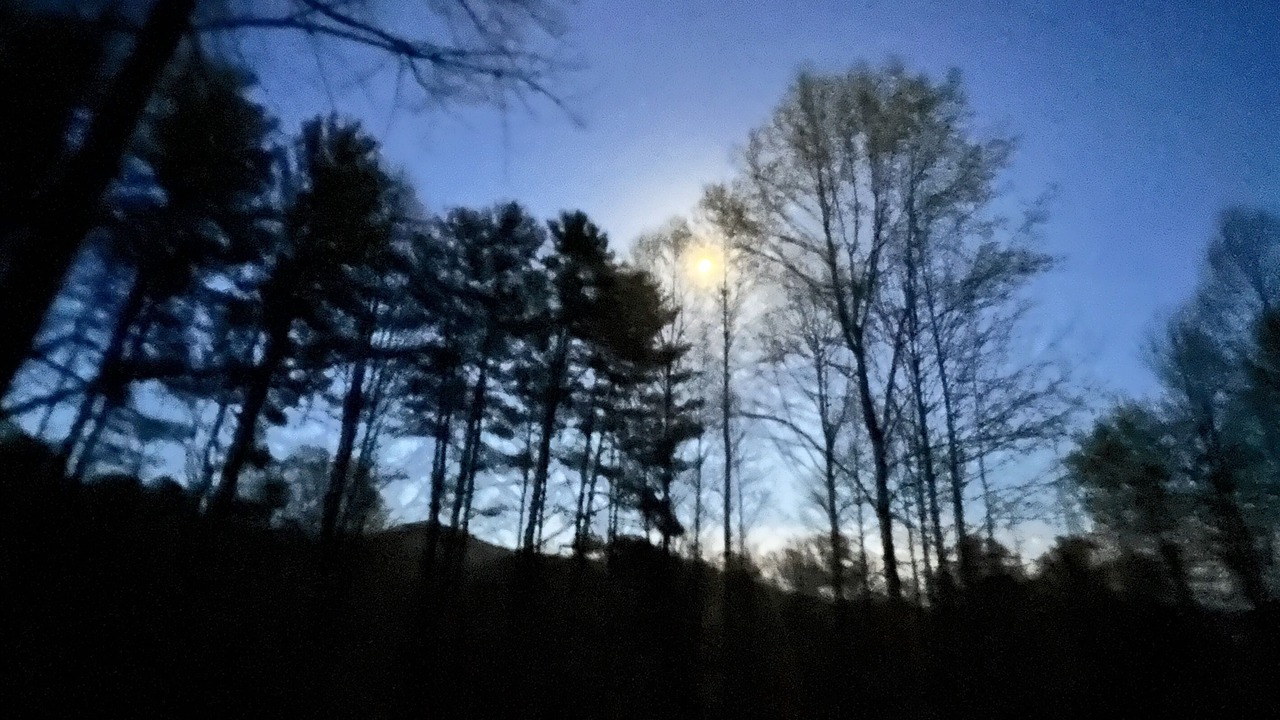 Photo of Others in Cherokee