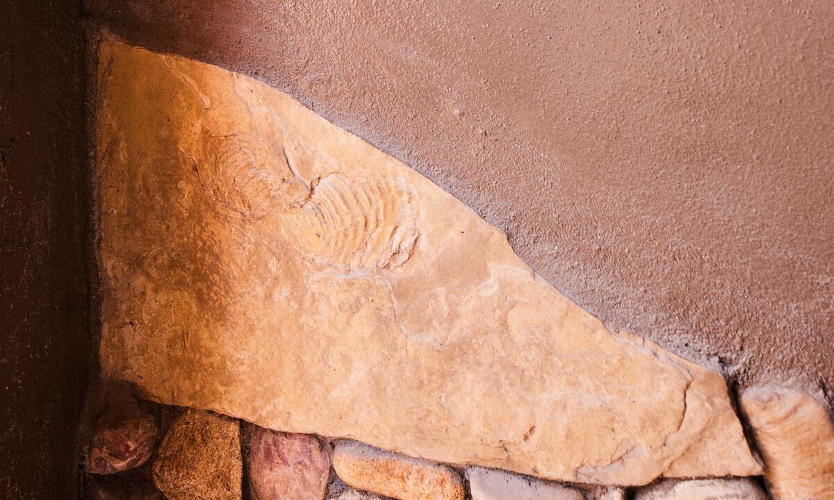 Photo of Others in Study Butte-Terlingua