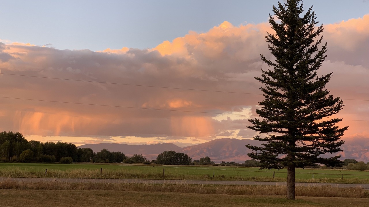 Photo of Others in Four Corners