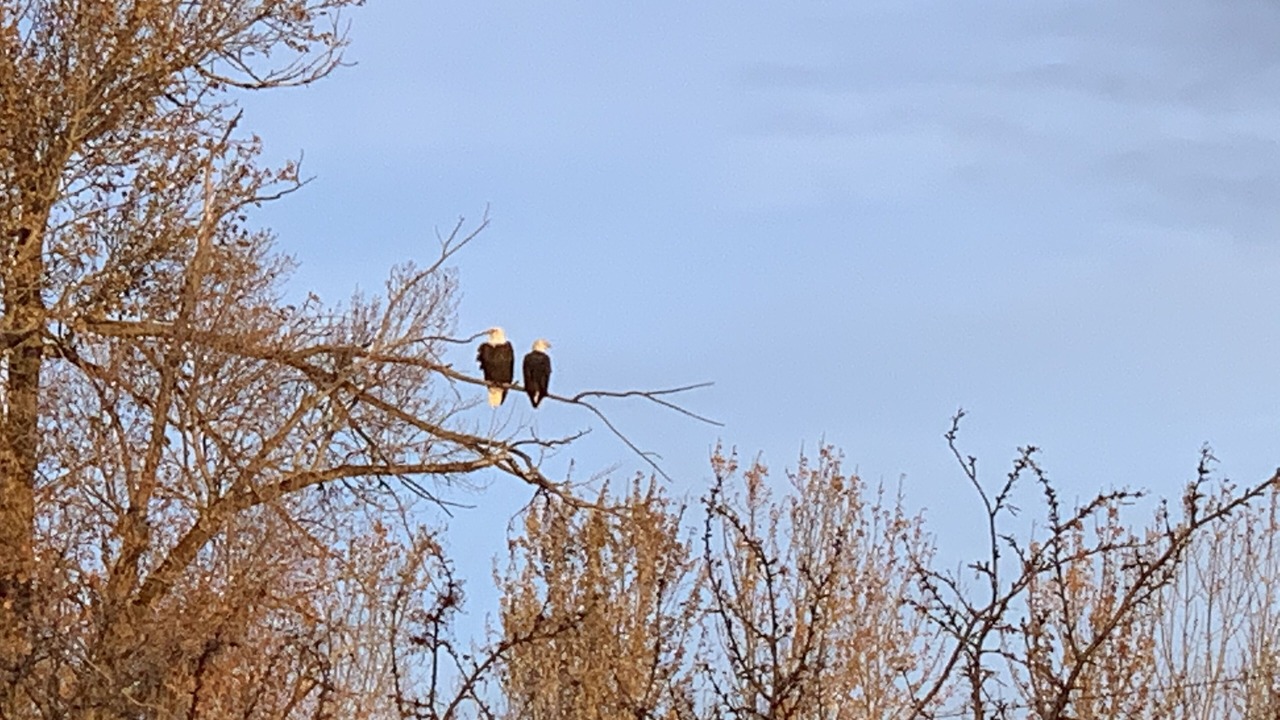 Photo of Others in Four Corners