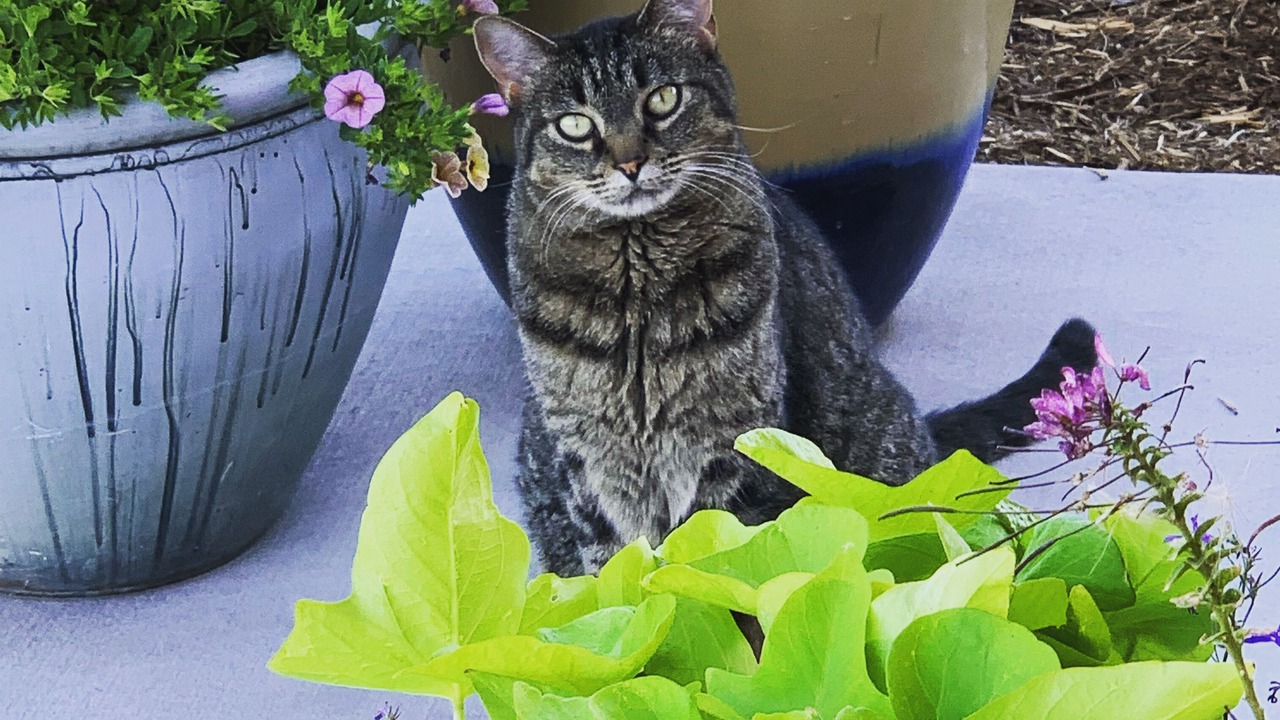 Photo of Others in Four Corners