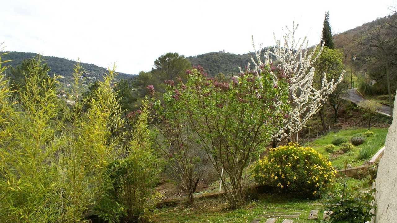 Photo of Outdoor in Saint-Blaise