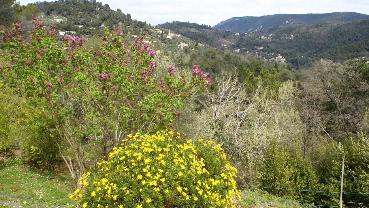 Photo of Outdoor in Saint-Blaise