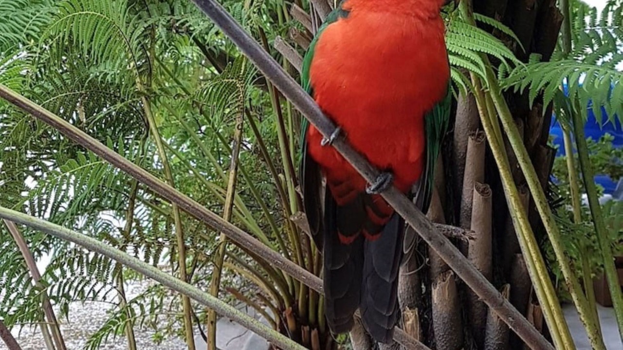 Photo of Outdoor in Eildon