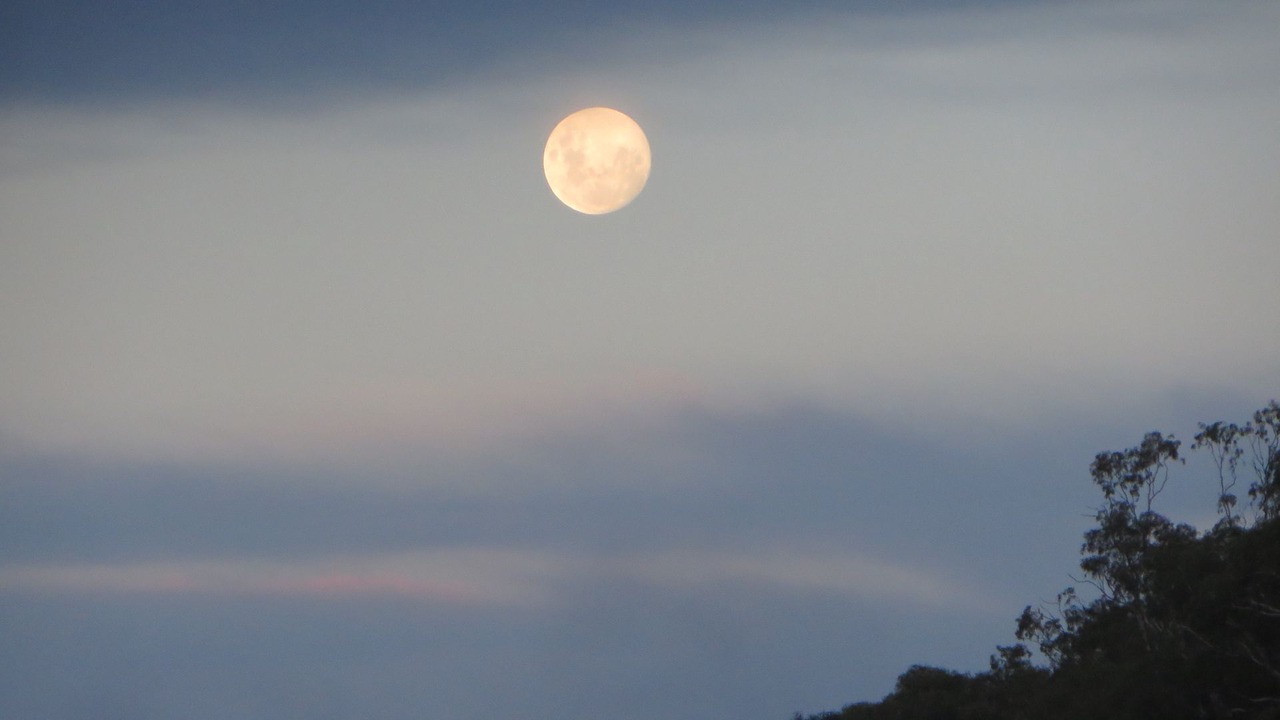 Photo of Others in Eildon