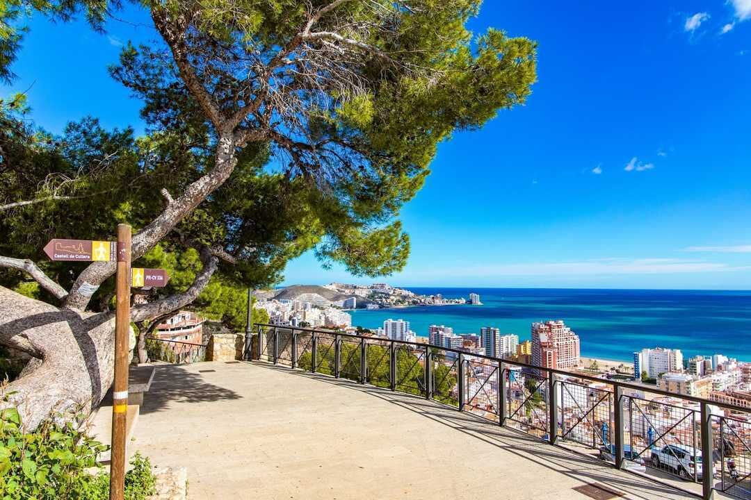 Photo of Outdoor in Cullera