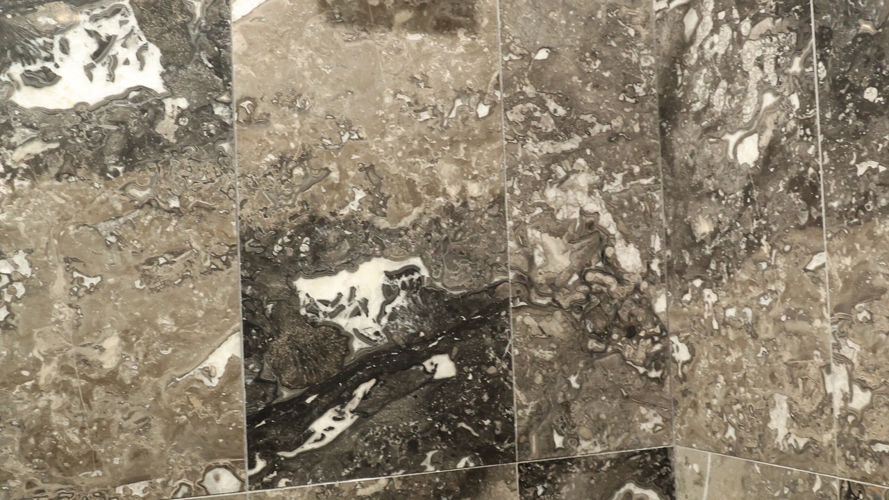 Photo of Bathroom in Tamarac