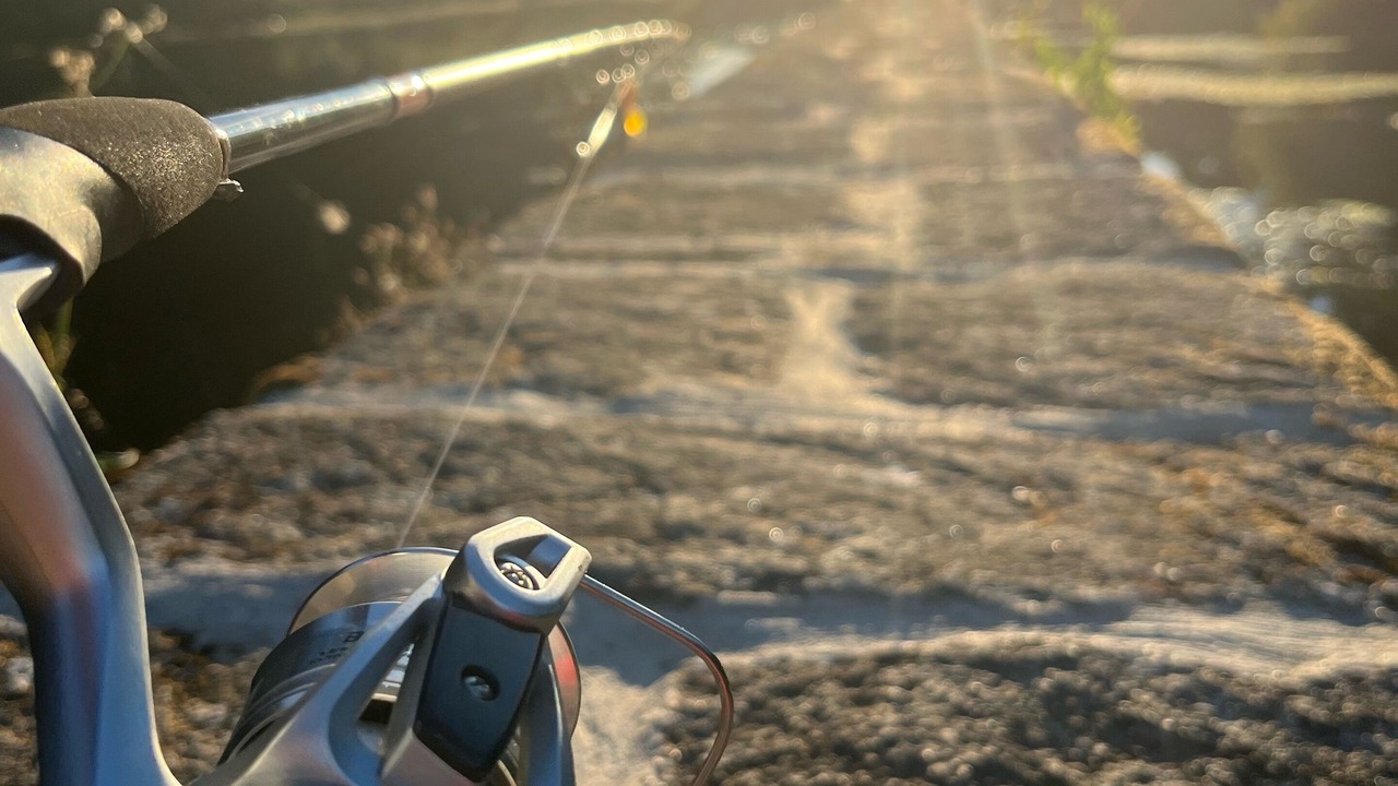 Photo of Others in Saint-Thuriau