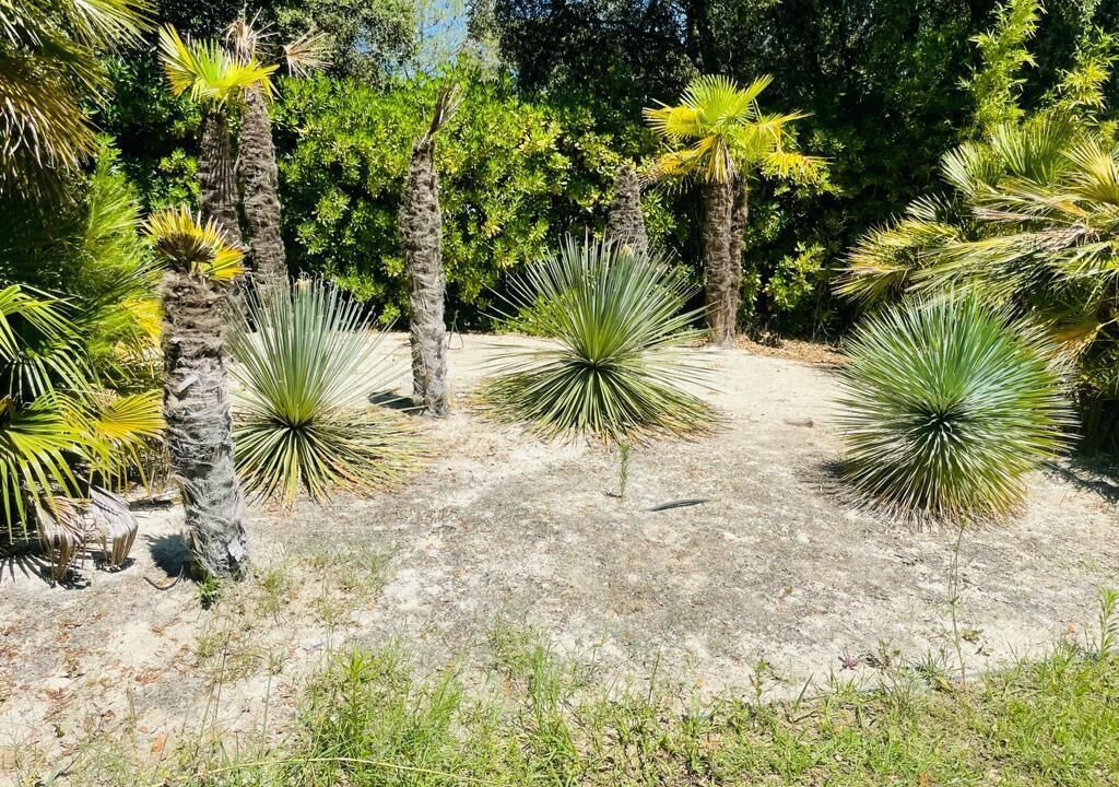 Photo of Outdoor in Aubais