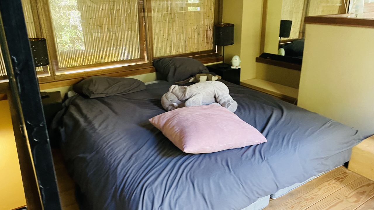 Photo of Bedroom in Aubais