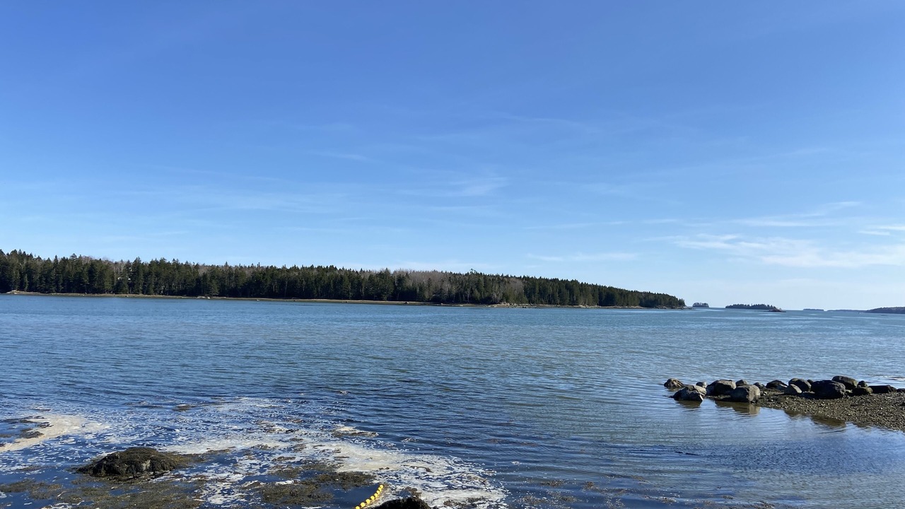 Photo of Others in Steuben