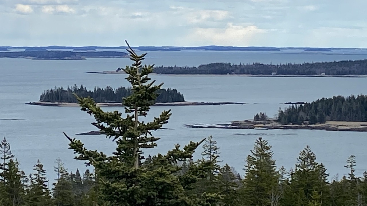 Photo of Others in Steuben