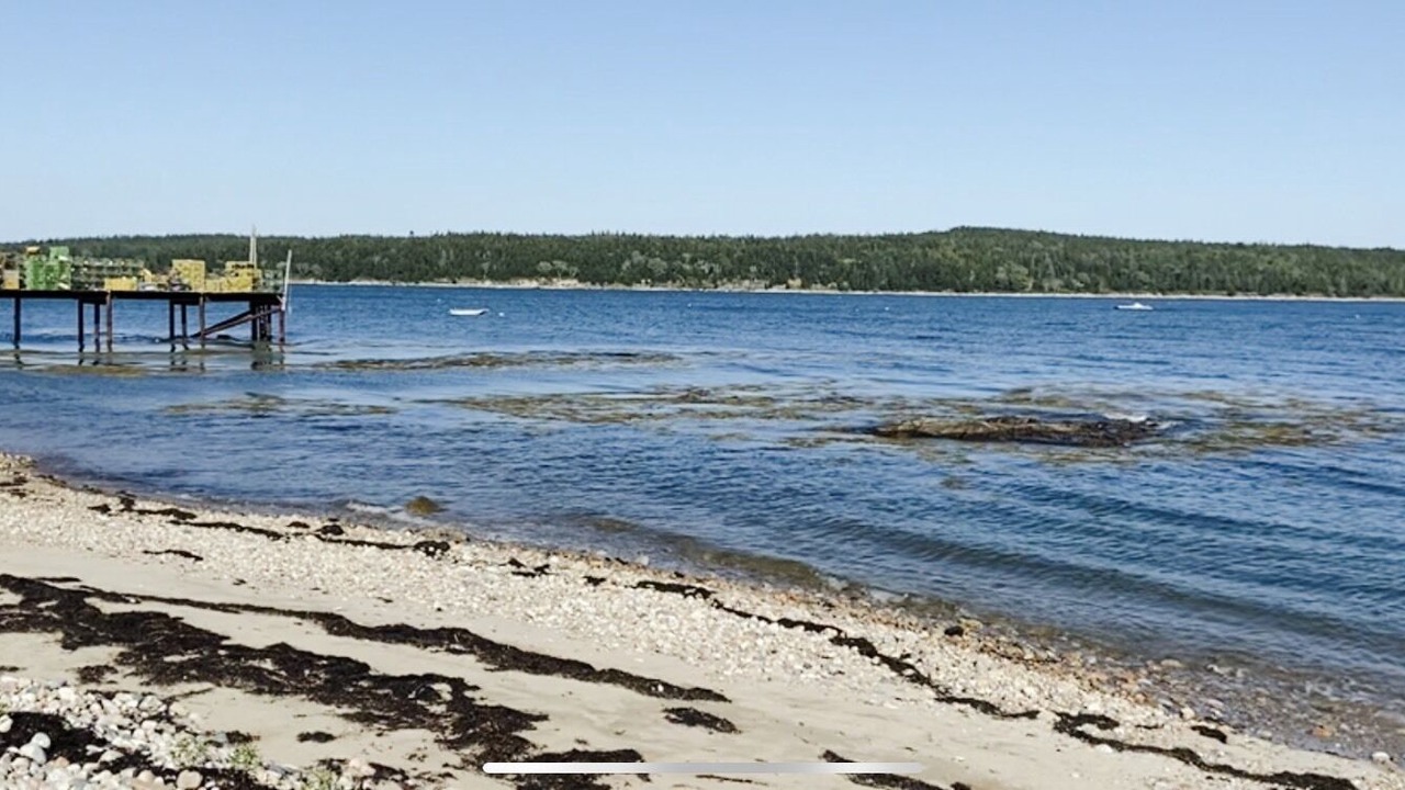 Photo of Others in Steuben