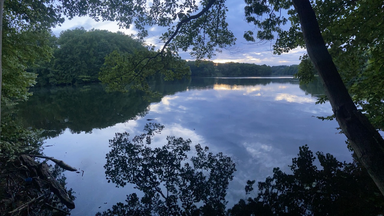 Photo of Others in Media