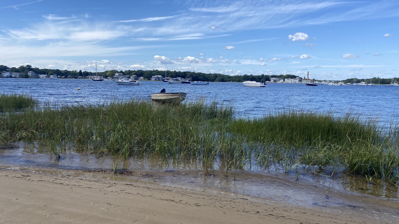 Photo of Others in Wareham