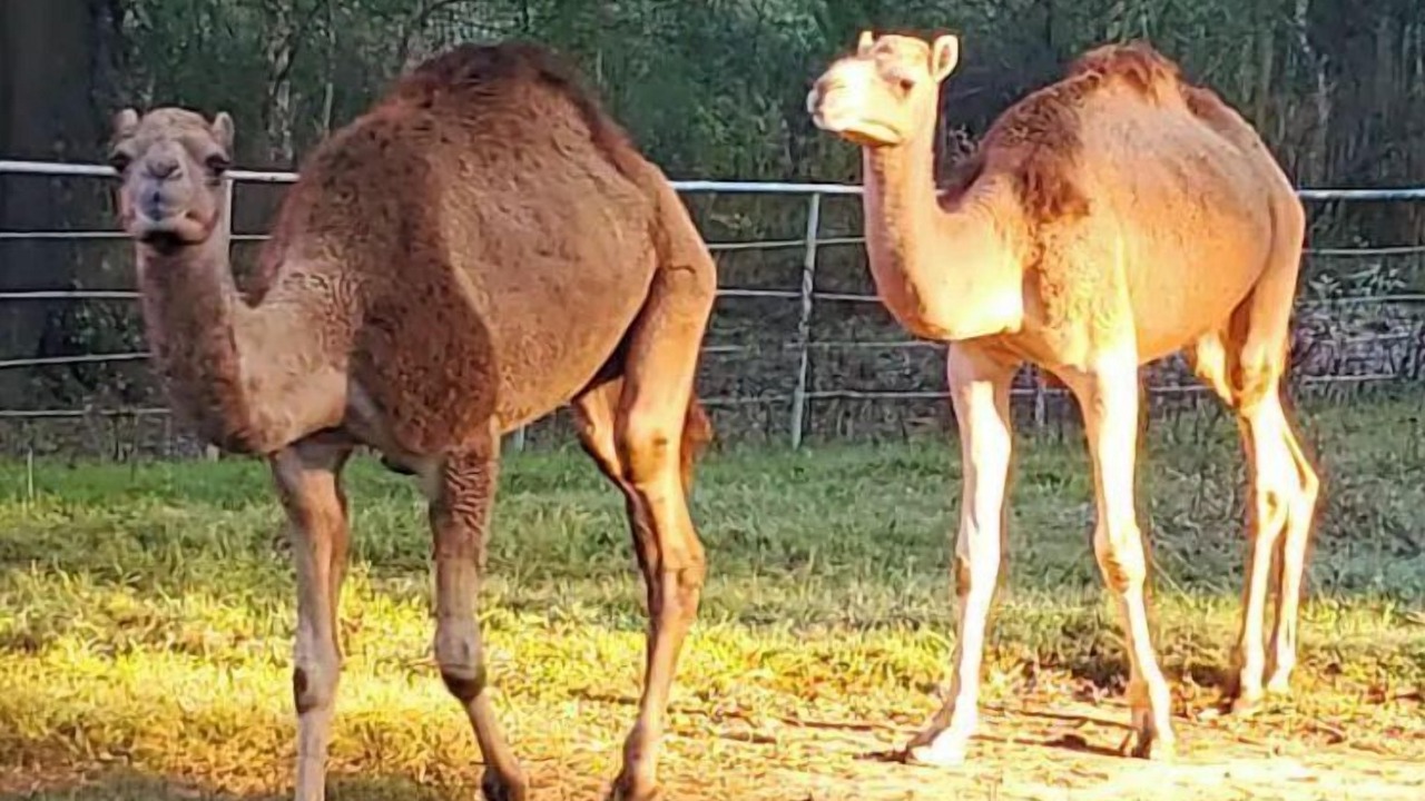 Photo of Outdoor in Big Sandy