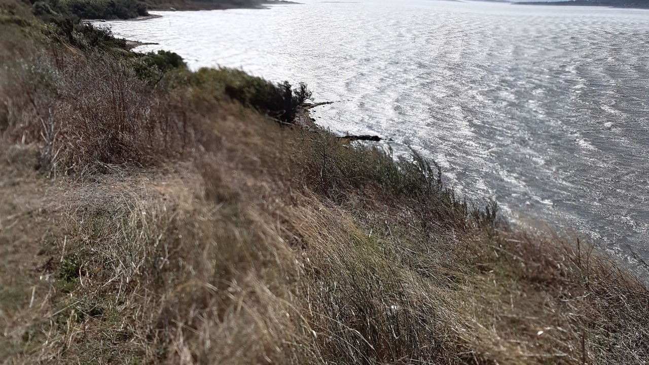 Photo of Others in Leucate