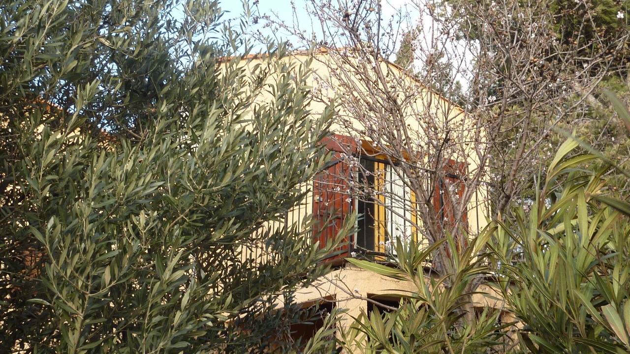 Photo of Outdoor in Leucate