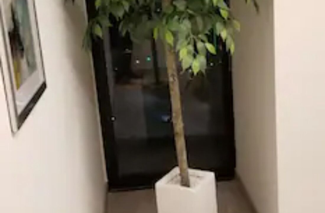 Photo of Others in Tijuana